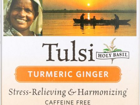 Organic India Tea - Organic - Tulsi - Turmeric Ginger - 18 Bags - Case Of 6 Online Sale