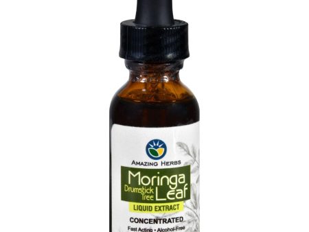 Black Seed Liquid Extract - Moringa Leaf - 1 Oz For Discount