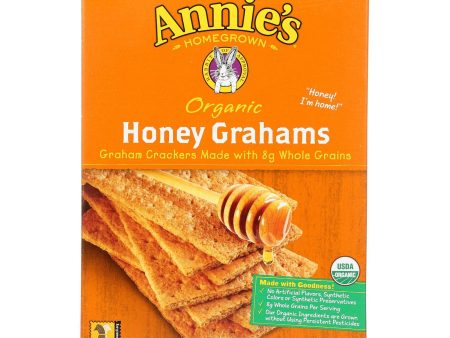 Annie s Homegrown Organic Honey Graham Crackers - Case Of 12 - 14.4 Oz. For Discount