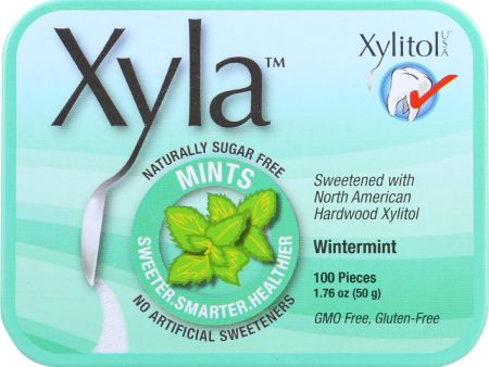 Xyla Mints - Wintermint - 100 Count - Case Of 6 Online now