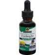 Nature s Answer Eyebright Herb Alcohol Free - 1 Fl Oz on Sale