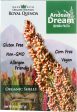 Andean Dream Gluten Free Organic Shells Quinoa Pasta - Case Of 12 - 8 Oz. Online