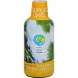 Tropical Oasis Children s Multiple Vitamin Mineral - 16 Fl Oz Cheap