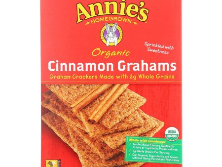 Annie s Homegrown Organic Cinnamon Graham Crackers - Case Of 12 - 14.4 Oz. Online now