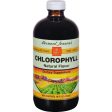 Bernard Jensen Chlorophyll Natural Liquid - 16 Fl Oz Cheap