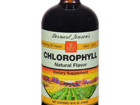 Bernard Jensen Chlorophyll Natural Liquid - 16 Fl Oz Cheap