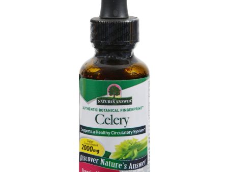 Nature s Answer Celery Seed - 1 Fl Oz Hot on Sale