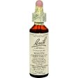 Bach Flower Remedies Essence White Chestnut - 0.7 Fl Oz Hot on Sale