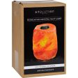 Evolution Salt Crystal Salt Lamp - Aromatherapy - 1 Count Online Hot Sale