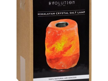 Evolution Salt Crystal Salt Lamp - Aromatherapy - 1 Count Online Hot Sale