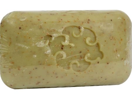 Baudelaire Hand Soap Sea Loofah - 5 Oz Online now