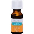 Aura Cacia Essential Solutions Oil Cool Hootie - 0.5 Fl Oz on Sale