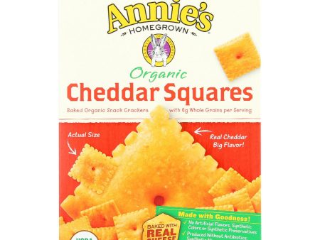 Annie s Homegrown Organic Cheddar Squares Baked Snacked Crackers - Case Of 12 - 6.75 Oz. Online