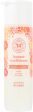 The Honest Company Conditioner - Nourishing Apricot Kiss - Case Of 1 - 10 Fl Oz. Online Hot Sale