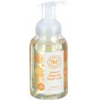 The Honest Company Honest Hand Soap - Foaming - Mandarin - 8.5 Oz Online