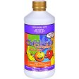 Buried Treasure Children s Complete Citrus - 16 Fl Oz For Sale