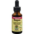 Nature s Answer Damiana Leaf - 1 Fl Oz Hot on Sale